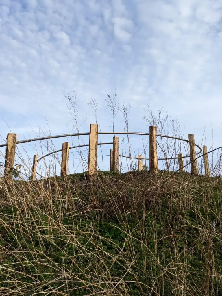 Stainless Steel Handrail Project completed at Railwayland Wildlife Trust