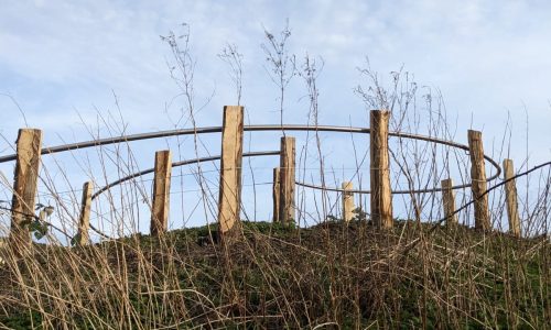 Stainless Steel Handrail Project completed at Railwayland Wildlife Trust